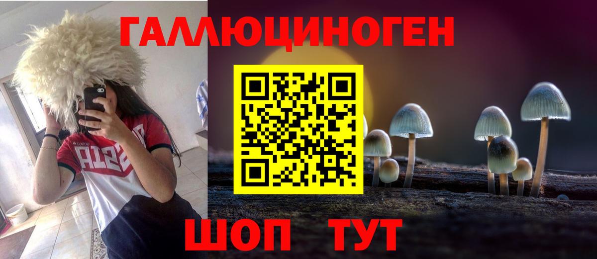 Псилоцибиновые грибы прущие грибы  Вход с VPN  Узловая  Галлюциногенные грибы Psilocybine cubensis 